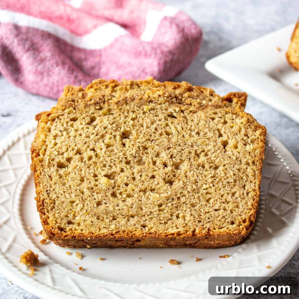 Slices of apple bread of a white plate.