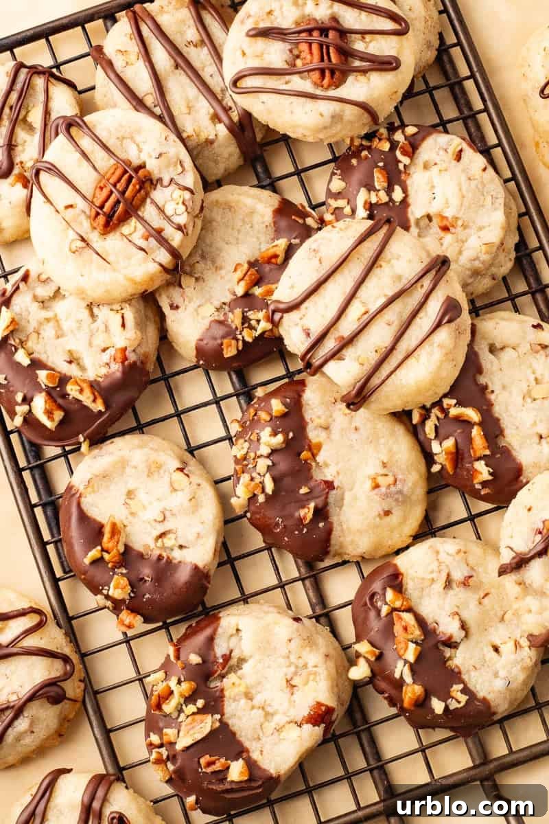 Chocolate-Dipped Pecan Sandies Cookies: Crunchy Butter Shortbread 2 Pecan sandies dipped in chocolate on wire cooling rack.