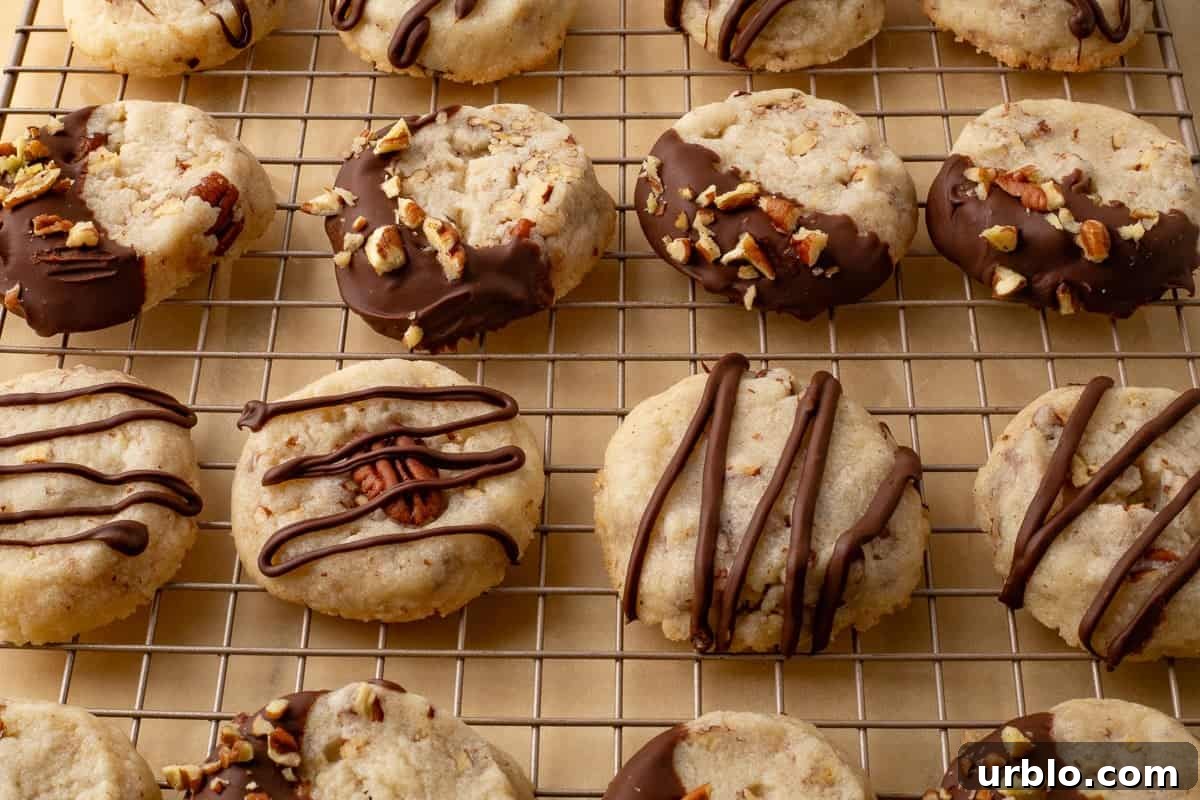 Chocolate-Dipped Pecan Sandies Cookies: Crunchy Butter Shortbread 10 Cooled pecan sandies drizzled with chocolate.