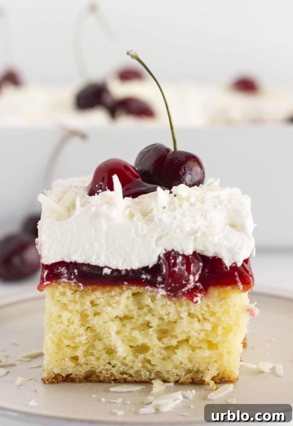 A slice of white forest cake on a white plate with fresh and canned cherries.