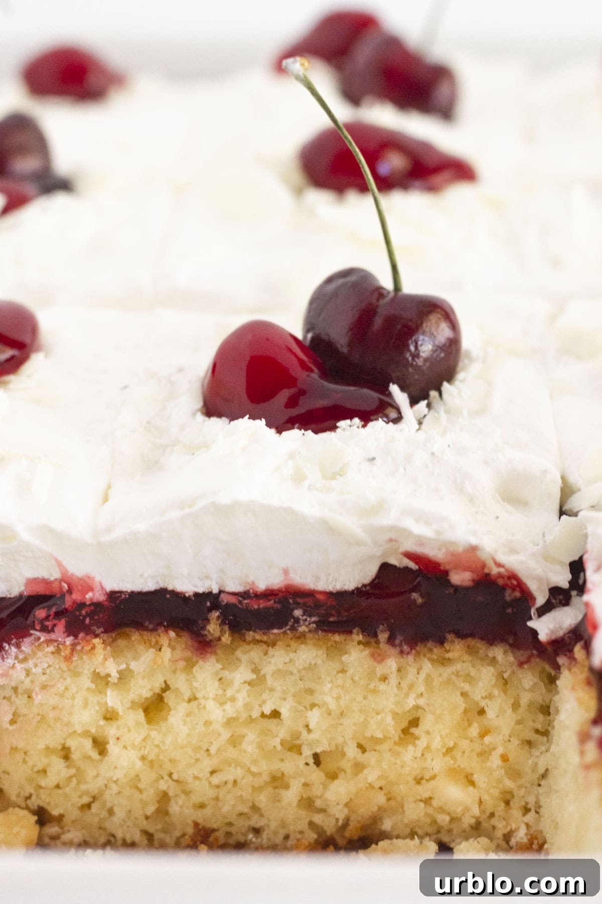 Looking at the inside of a white forest cake with fresh cherries.