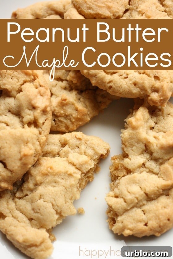 Maple Peanut Butter Oatmeal Cookies Recipe 2 Peanut Butter Maple Cookies Recipe