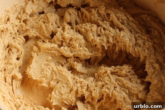 Maple Peanut Butter Oatmeal Cookies Recipe 3 IMG_8039