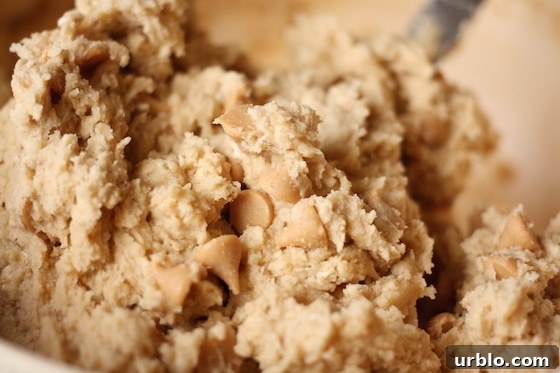Maple Peanut Butter Oatmeal Cookies Recipe 5 IMG_8044