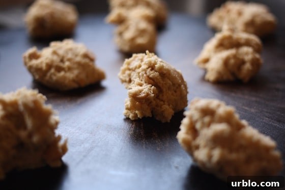 Maple Peanut Butter Oatmeal Cookies Recipe 6 IMG_8047