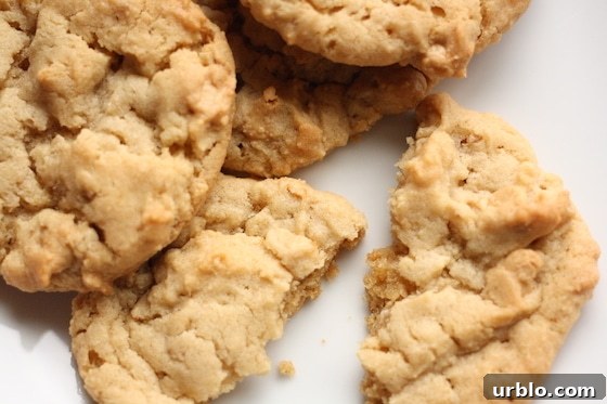Maple Peanut Butter Oatmeal Cookies Recipe 7 Recipe for Peanut Butter Maple Cookies