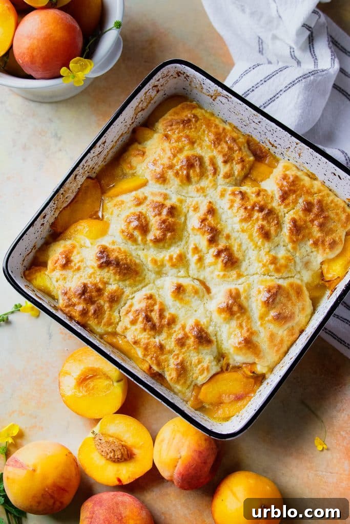 Peach cobbler fresh out of the oven.