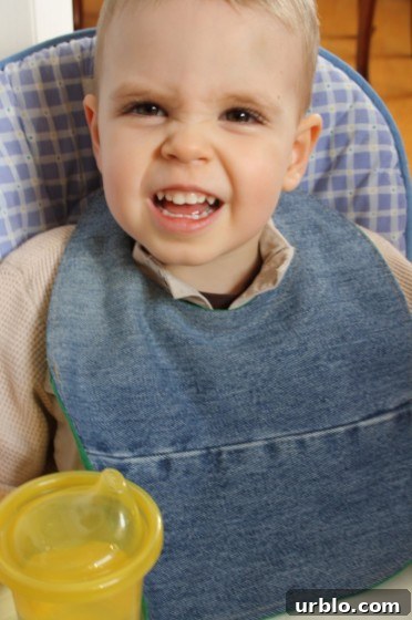 IMG_6534 child wearing homemade denim bib