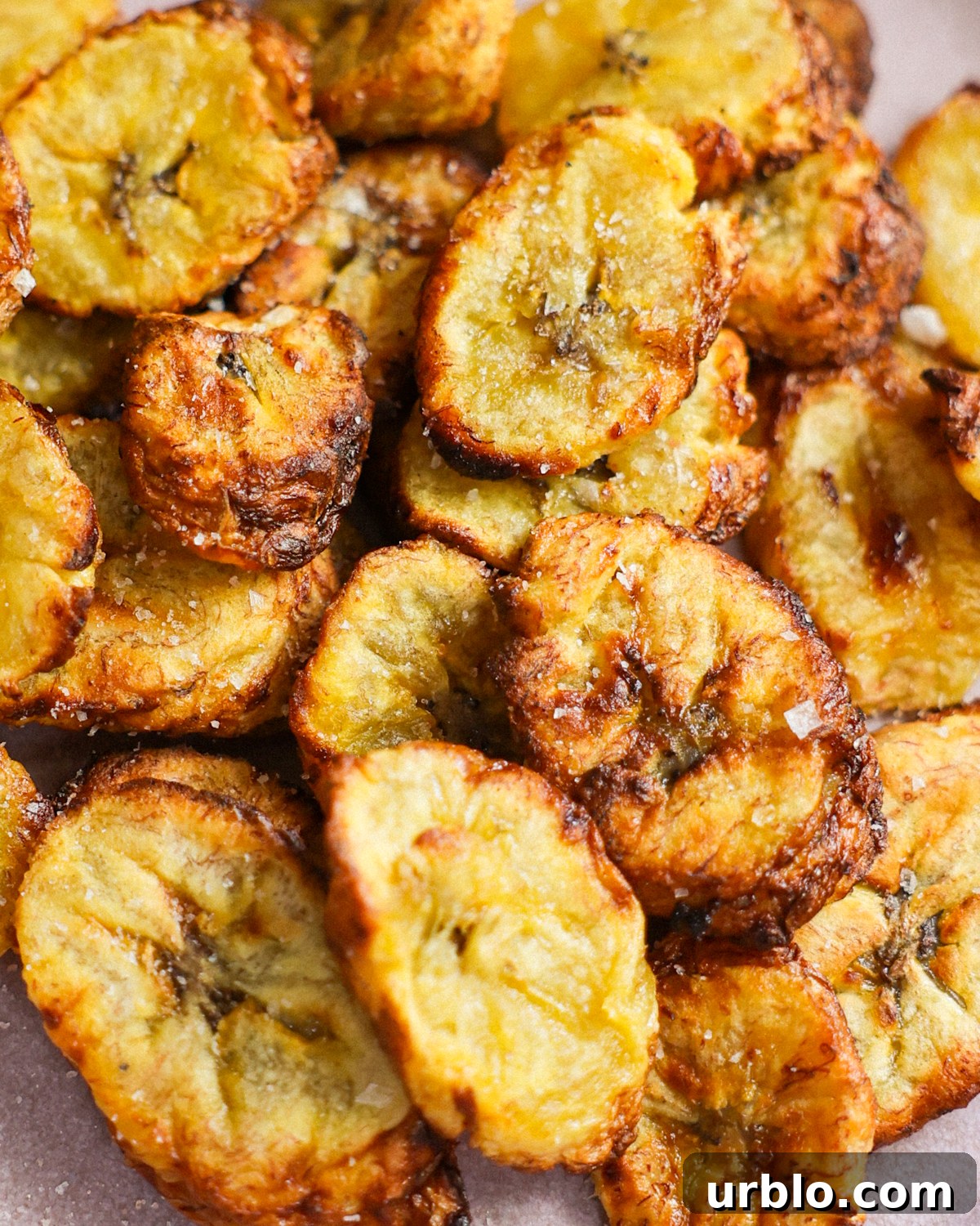 close up of air fried plantains