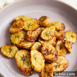 air fryer plantains on plate