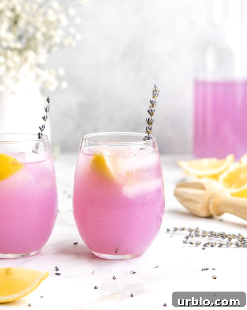Lemonade is paired with floral lavender to create a lemonade that screams summer