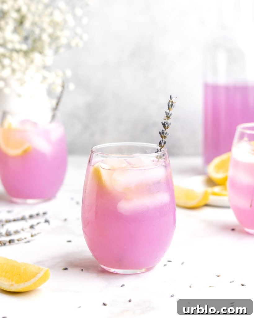 Lemonade is paired with floral lavender to create a lemonade that screams summer