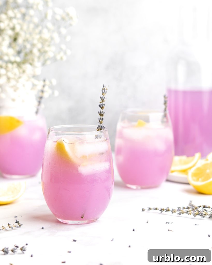 Lemonade is paired with floral lavender to create a lemonade that screams summer