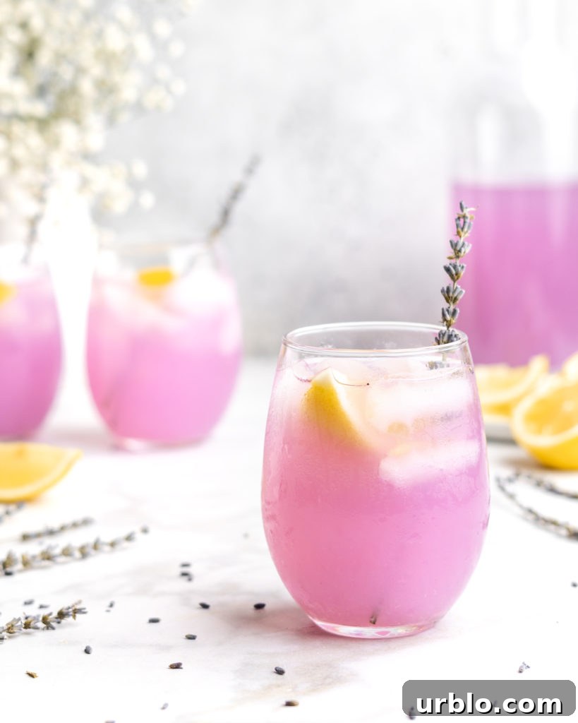 Lemonade is paired with floral lavender to create a lemonade that screams summer