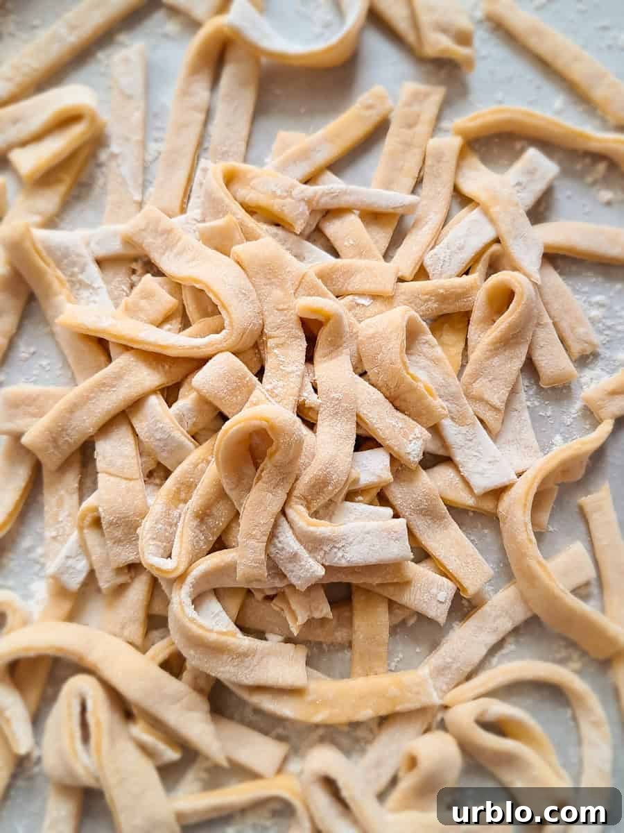 a pile of homemade Amish egg noodles scattered around.