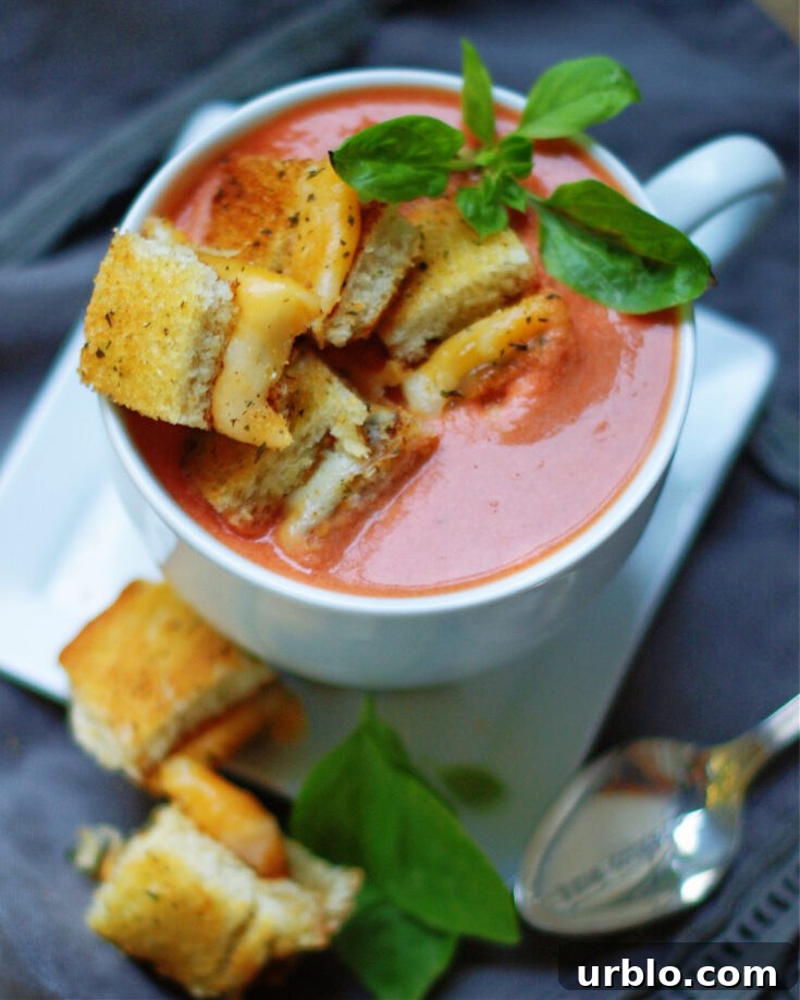 creamy tomato basil soup with grilled cheese croutons