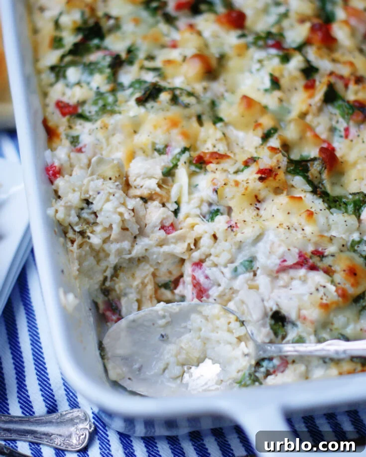 creamy spinach artichoke chicken casserole with rice served with a spoon