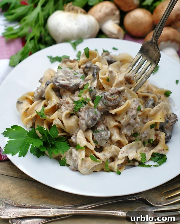 One pot stroganoff with ground beef