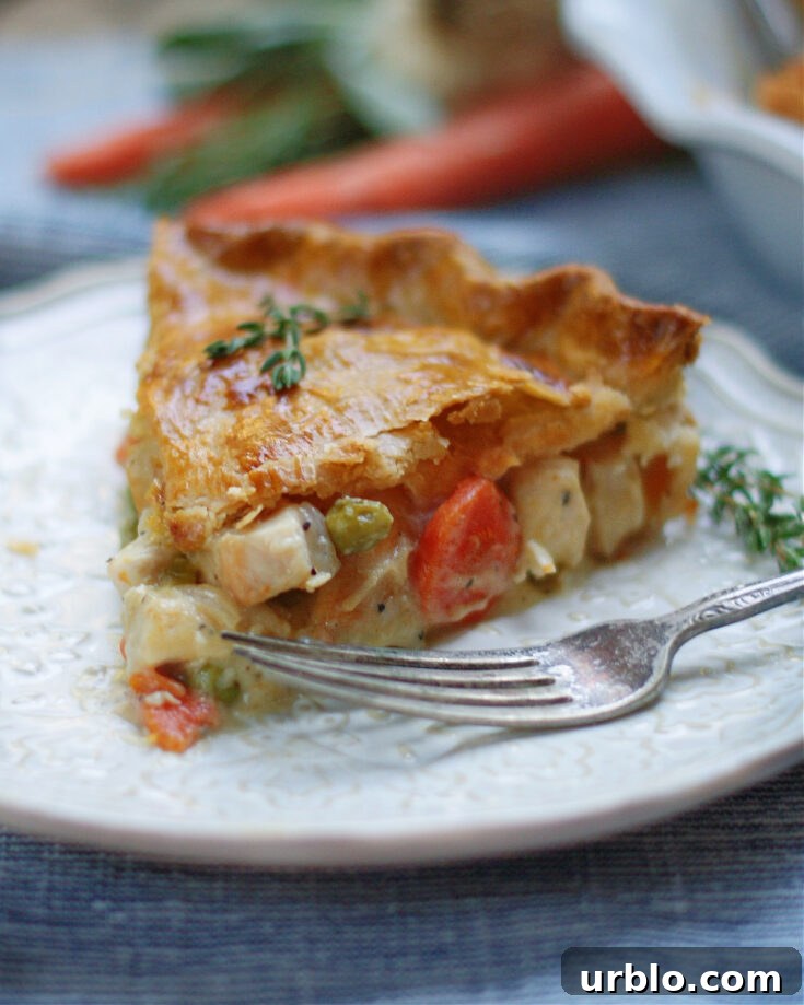 Classi double crust chicken pot pie on a plate