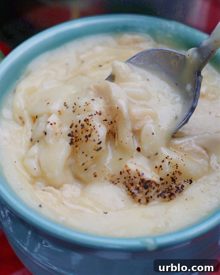 Simple flat southern dumpling and a thick stew for chicken and dumplings