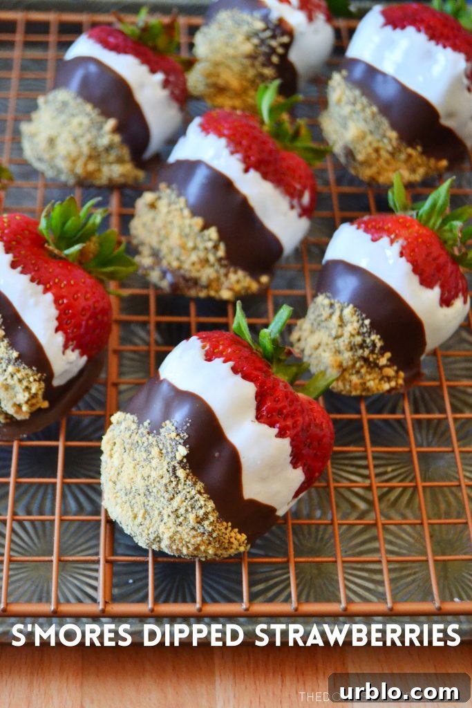 S'mores Dipped Strawberries: Campfire-Inspired Dessert 2 s'mores dipped strawberries on a gold wire rack