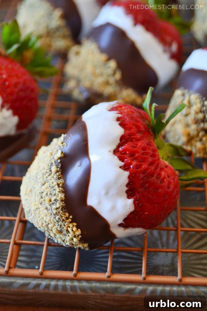 S'mores Dipped Strawberries: Campfire-Inspired Dessert 3 a sideways profile of a s'mores dipped strawberry on a wire rack
