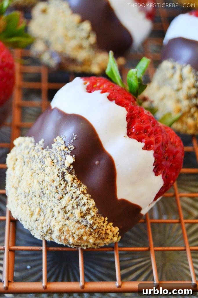 S'mores Dipped Strawberries: Campfire-Inspired Dessert 4 a closeup of a huge s'mores dipped strawberries