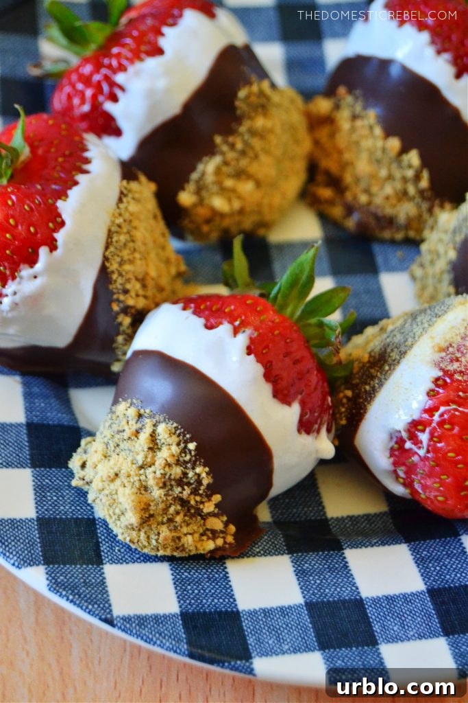 S'mores Dipped Strawberries: Campfire-Inspired Dessert 5 a blue gingham plate with s'mores dipped strawberries
