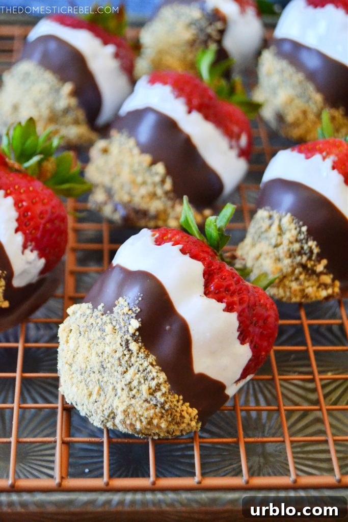 S'mores Dipped Strawberries: Campfire-Inspired Dessert 6 a tray filled with s'mores dipped strawberries