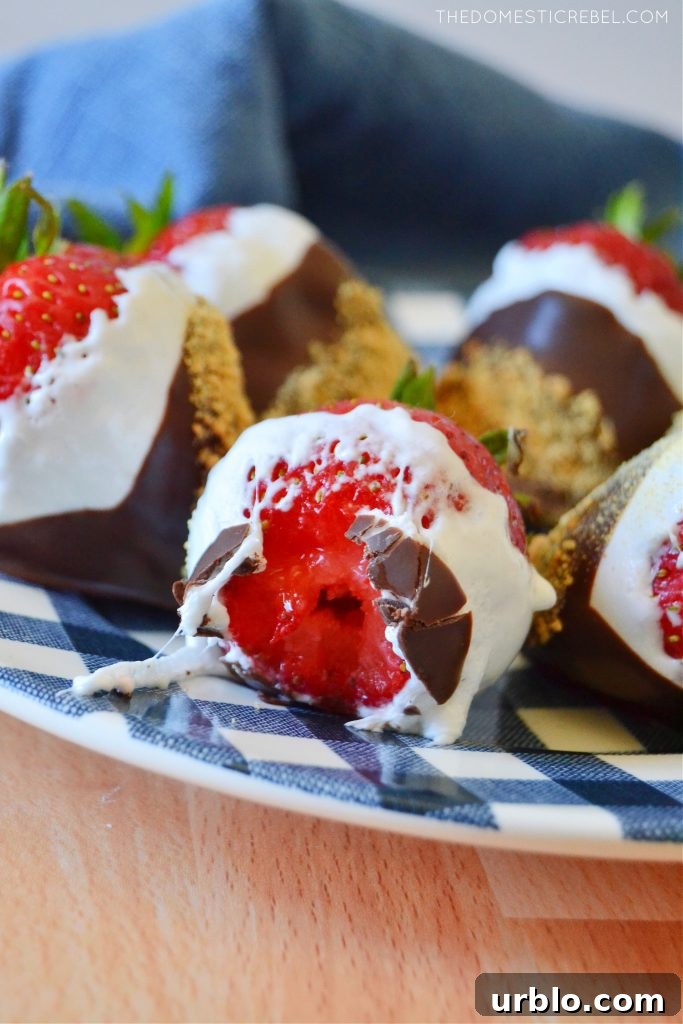 S'mores Dipped Strawberries: Campfire-Inspired Dessert 7 closeup of a bitten s'mores dipped strawberry