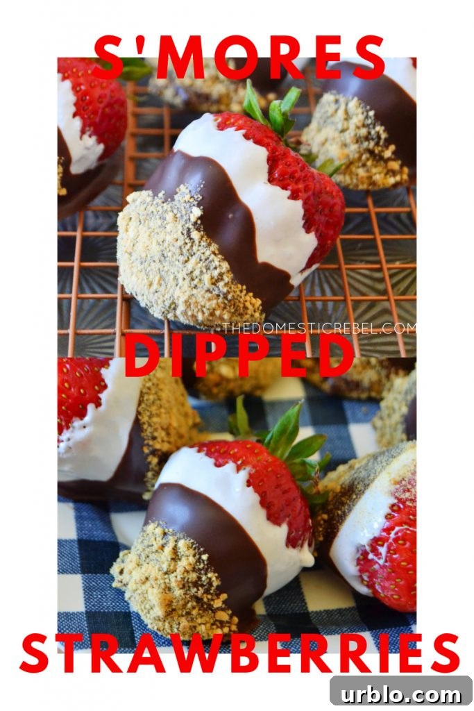 S'mores Dipped Strawberries: Campfire-Inspired Dessert 8 s'mores dipped strawberries photo collage