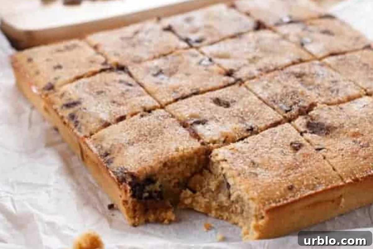 Close-up shot of Churro Blondies.