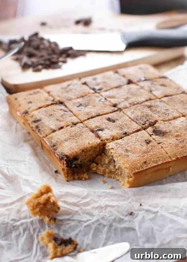 Churro Chocolate Chunk Blondies cut into pieces 