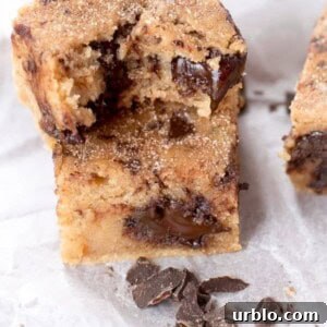Churro Chocolate Chunk Blondies pieces on butter paper