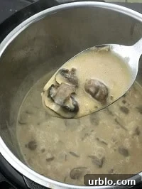 creamy marsala sauce in a ladle