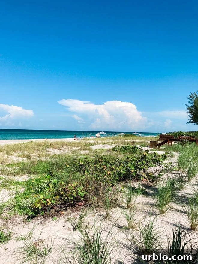 A weekend guide to Longboat Key includes the best things to eat, see and do while visiting the barrier island on Florida’s West Coast! Enjoy a stay at Zota Beach Resort, dine on delectable fare at Viento Kitchen and Bar, relax on powder soft beaches, tour Mote Marine Laboratory and Aquarium and more.