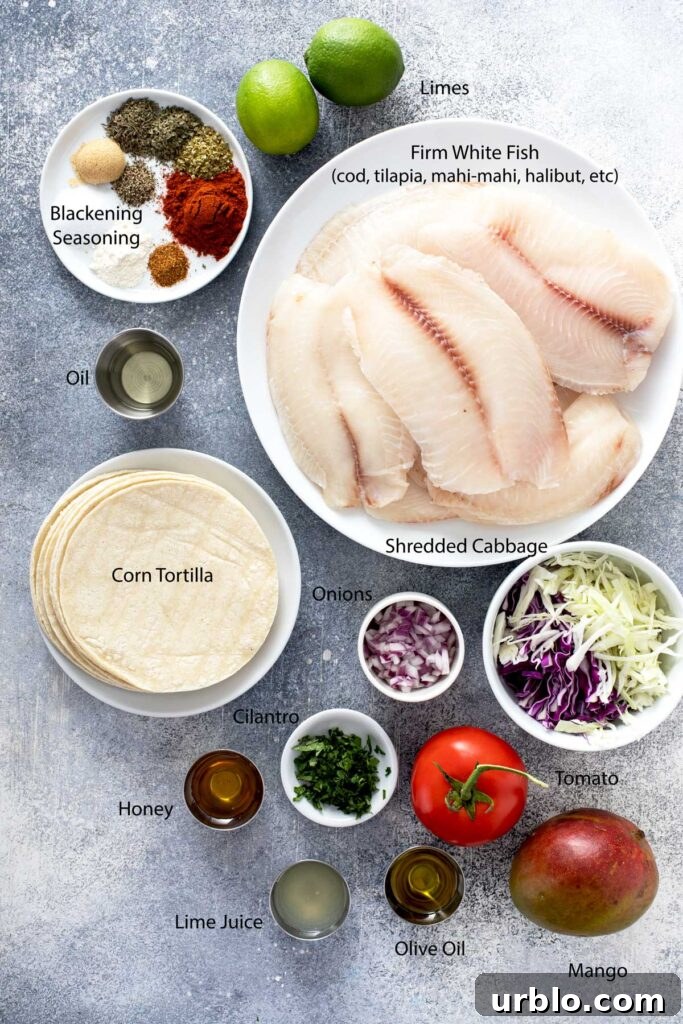 All the ingredients for the fish tacos and the mango slaw displayed over a gray surface.