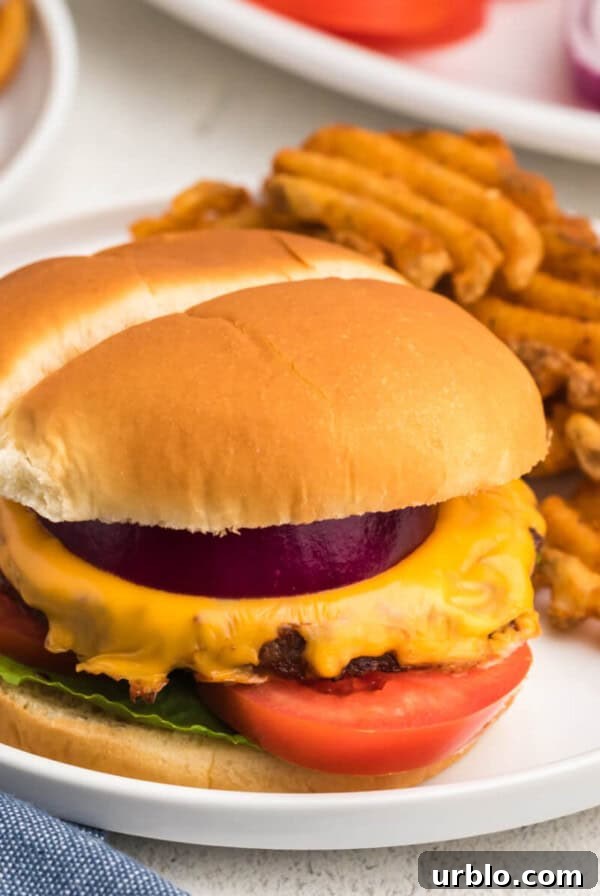 Reheated burger in a air fryer, topped with cheese and other toppings, served on a white plate with waffle fries.