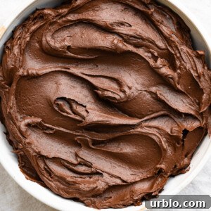 Silky Chocolate Ganache Buttercream Frosting Recipe 5 Overhead view of a bowl filled with dark chocolate buttercream frosting.