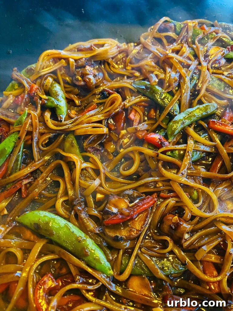Blackstone Stir Fry Veggie Noodles
