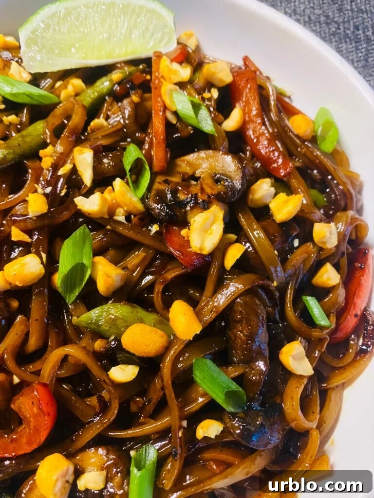 Blackstone Stir Fry Veggie Noodles