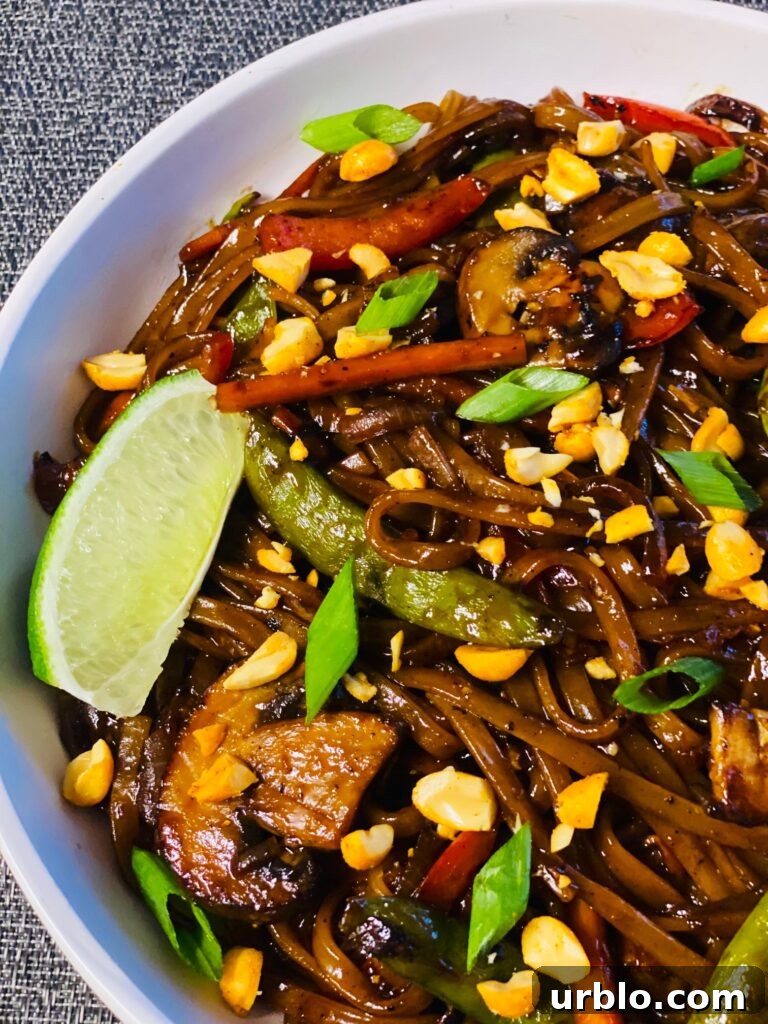 Blackstone Stir Fry Veggie Noodles