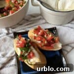 Creamy Burrata Toasts topped with bruschetta.