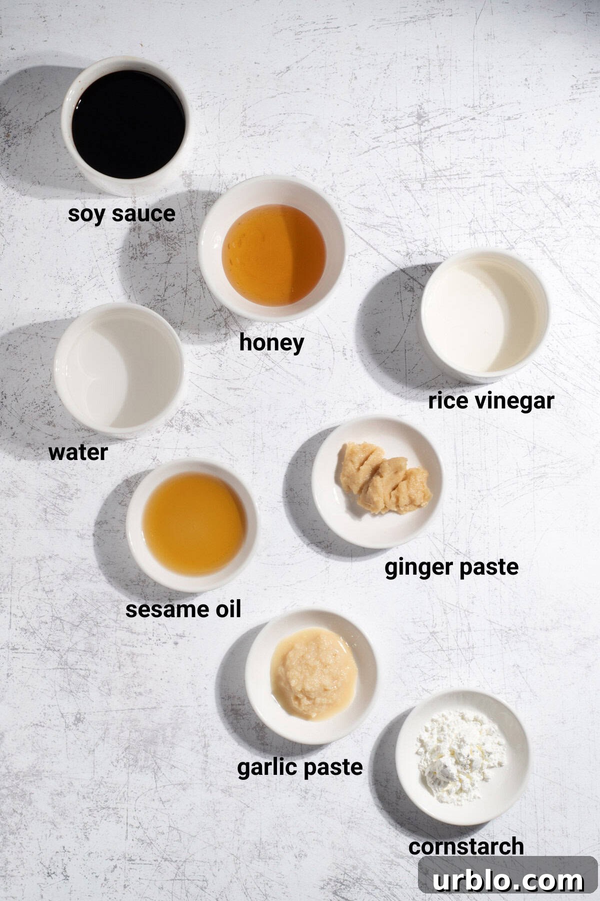 Teriyaki sauce ingredients.