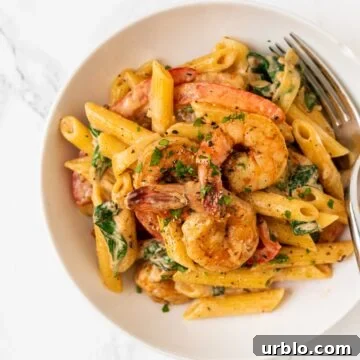 a top down view of a bowl of cajun shrimp pasta