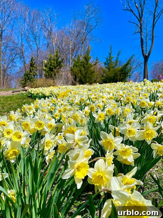 TNF Gluten-Free Food & Travel Guide: April Highlights 4 img 24200 3