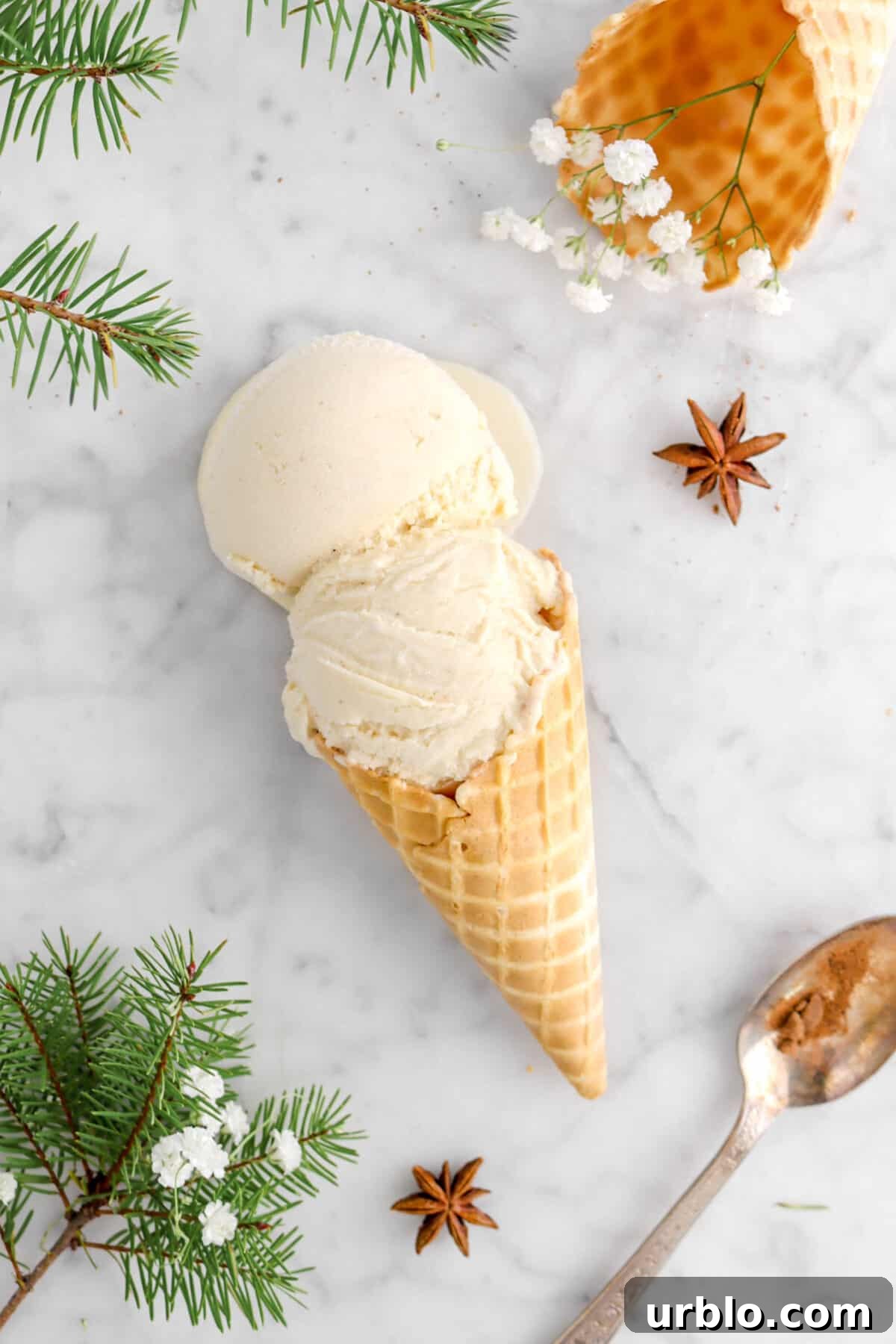 flat lay of ice cream on marble counter with pine branches, flowers, two stair anise pods, and spoon