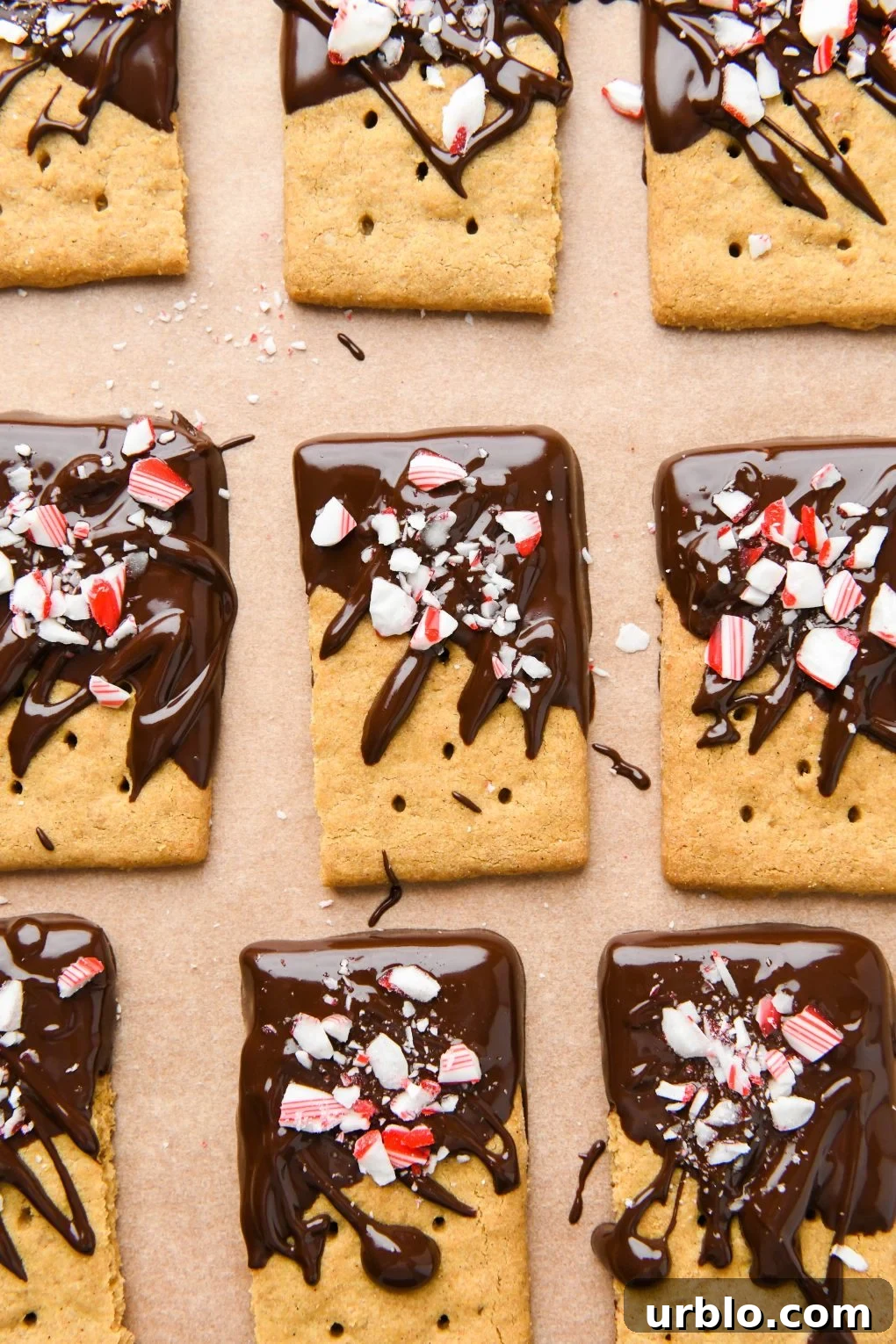 Chocolate dipped graham crackers topped with crushed candy canes on a parchment lined surface.