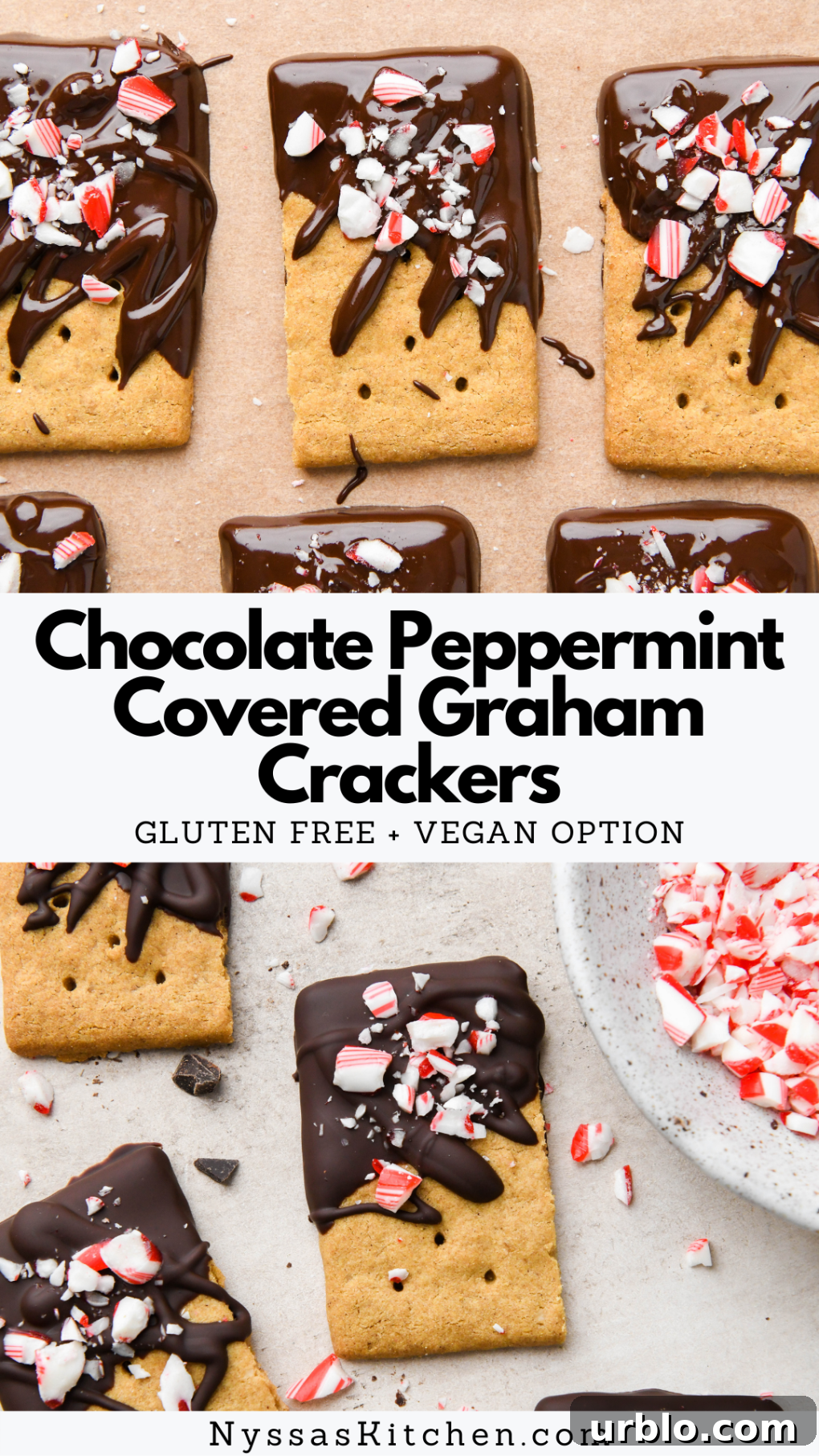 Pinterest pin for chocolate peppermint covered graham crackers.