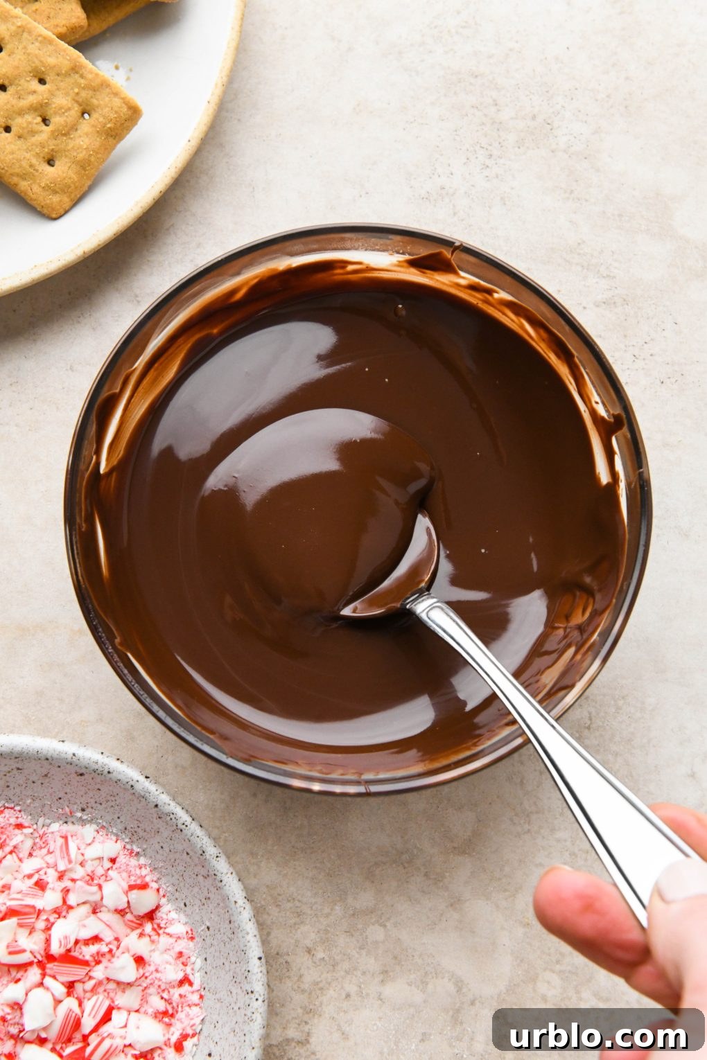A small glass bowl of melted chocolate for dipping graham crackers.